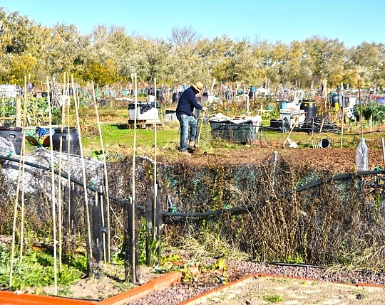 Fundación INEA
