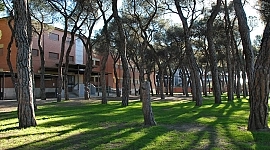 Fundación Apostolado del Sagrado Corazón