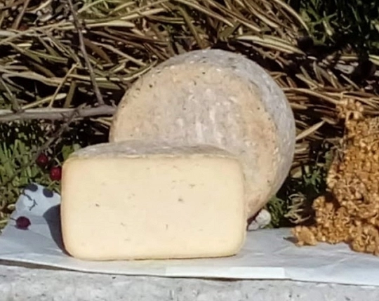 Crica S. Cooperativa
