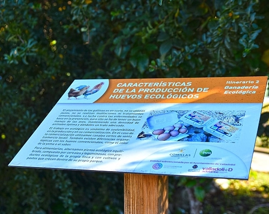 Fundación INEA
